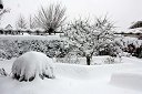 IMG_2192