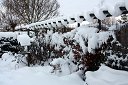 Pergola