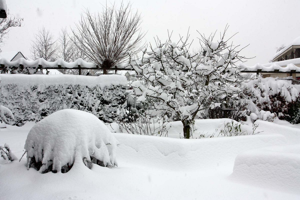 35 to 40 centimeter sneeuw is er gevallen.