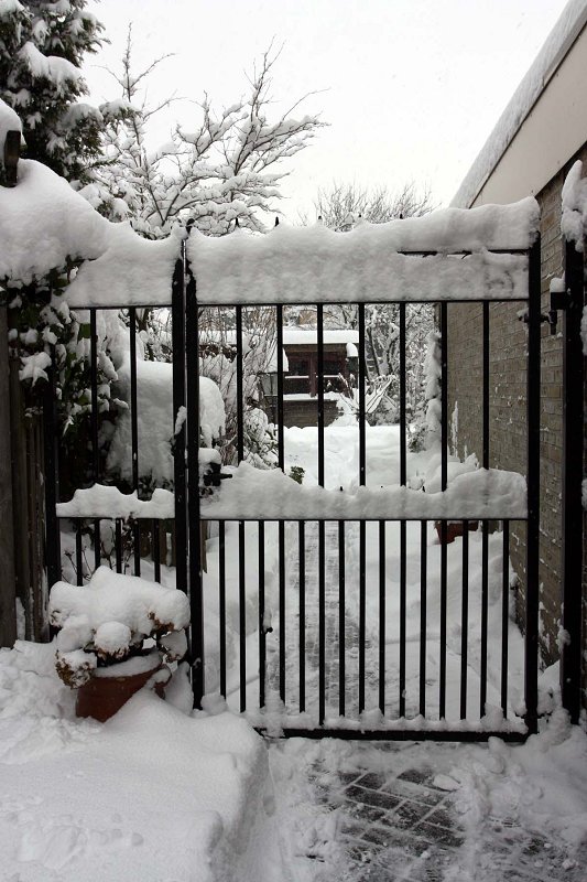 Een besneeuwde inkijk in de tuin.